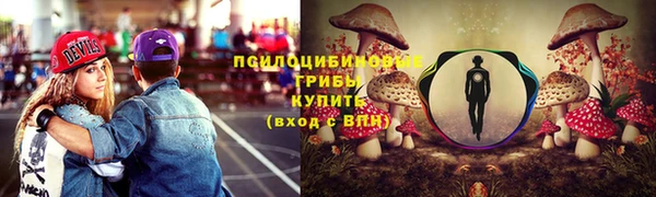 ешки Волоколамск